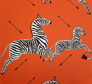 ZEBRAS - ORANGE-0