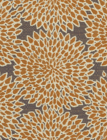 ZINNIA - HONEYCOMB-0