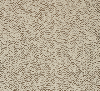 RAINDROP - TRUFFLE-0