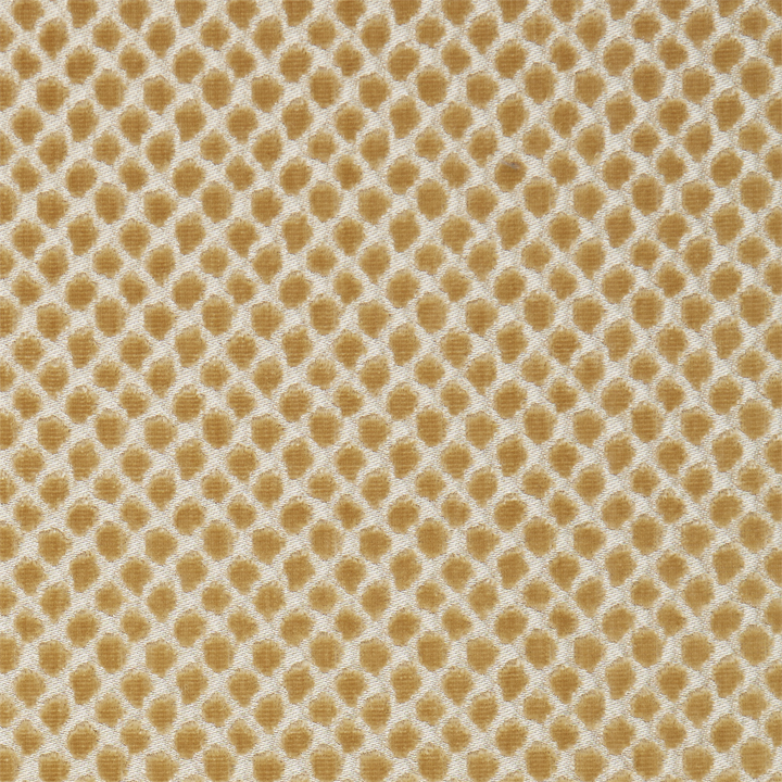 ETOSHA VELVET - PALOMINO-0