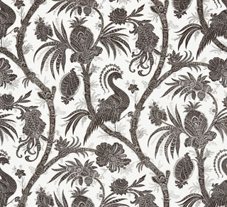 BALINESE PEACOCK - JAVA-0