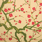 FLOWERING QUINCE - GREEN-0