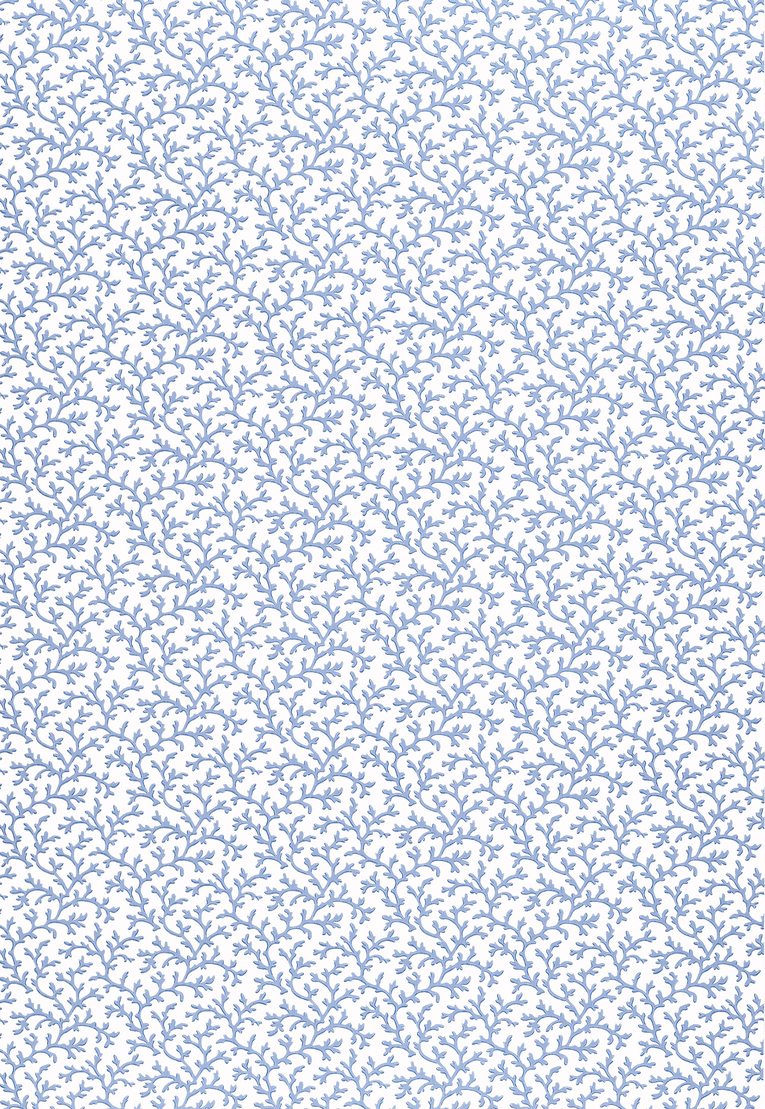 CORAL VINE - OCEAN-0