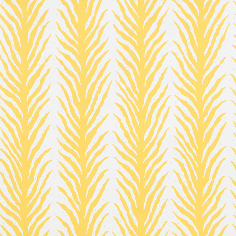 CREEPING FERN - LEMONADE