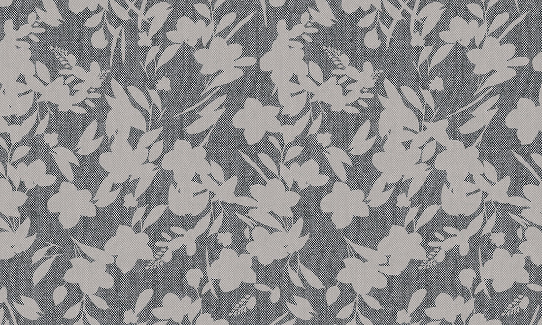 BOUTON D'OR - PAVE DU NORD