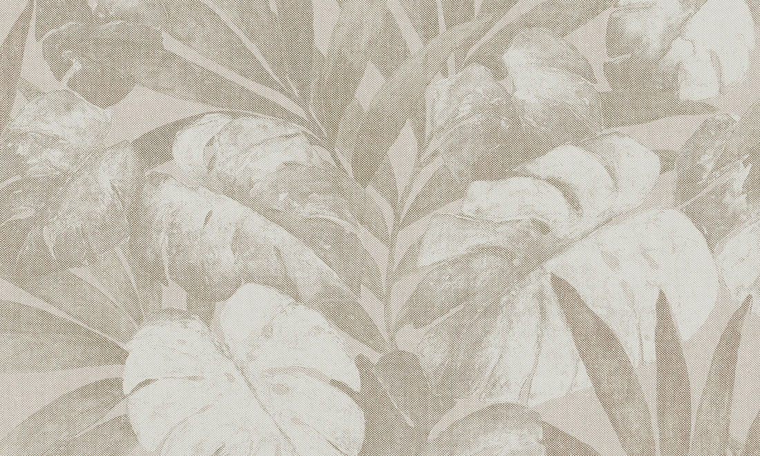 EXPEDITION - POTATOES