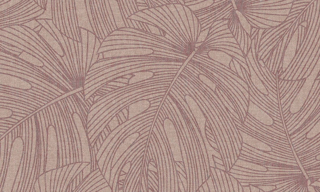 L'AVENTURE - MUSCADE