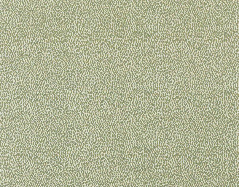 PLUMETTES - VERVEINE