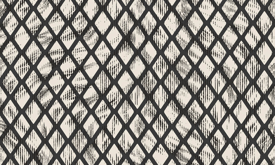 ARISTO QUAGGA - SNOW