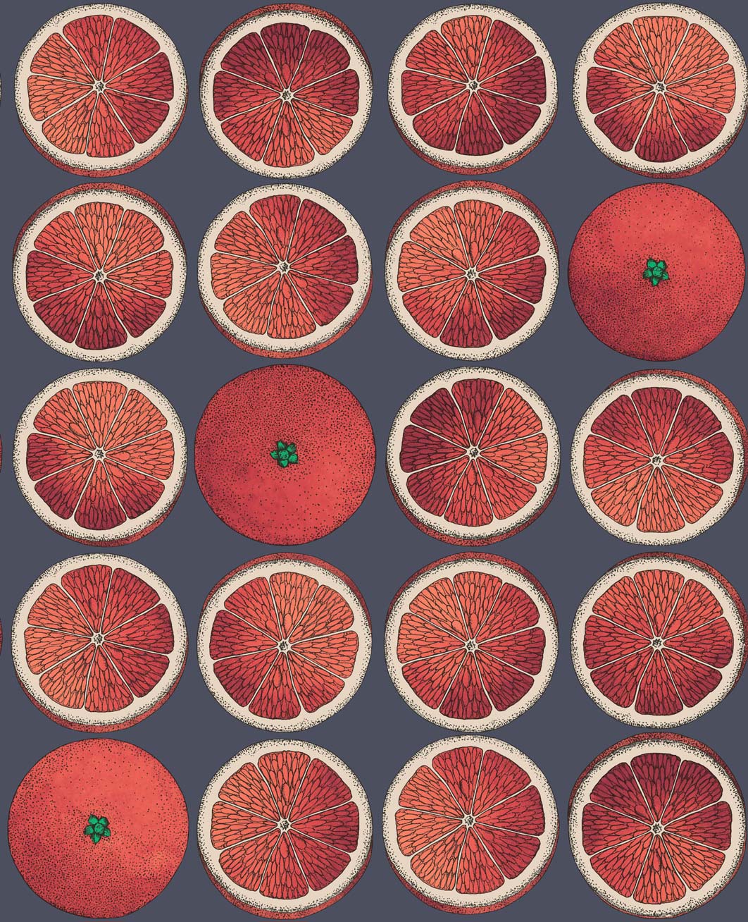 ARANCE - BLOOD ORANGE/INK