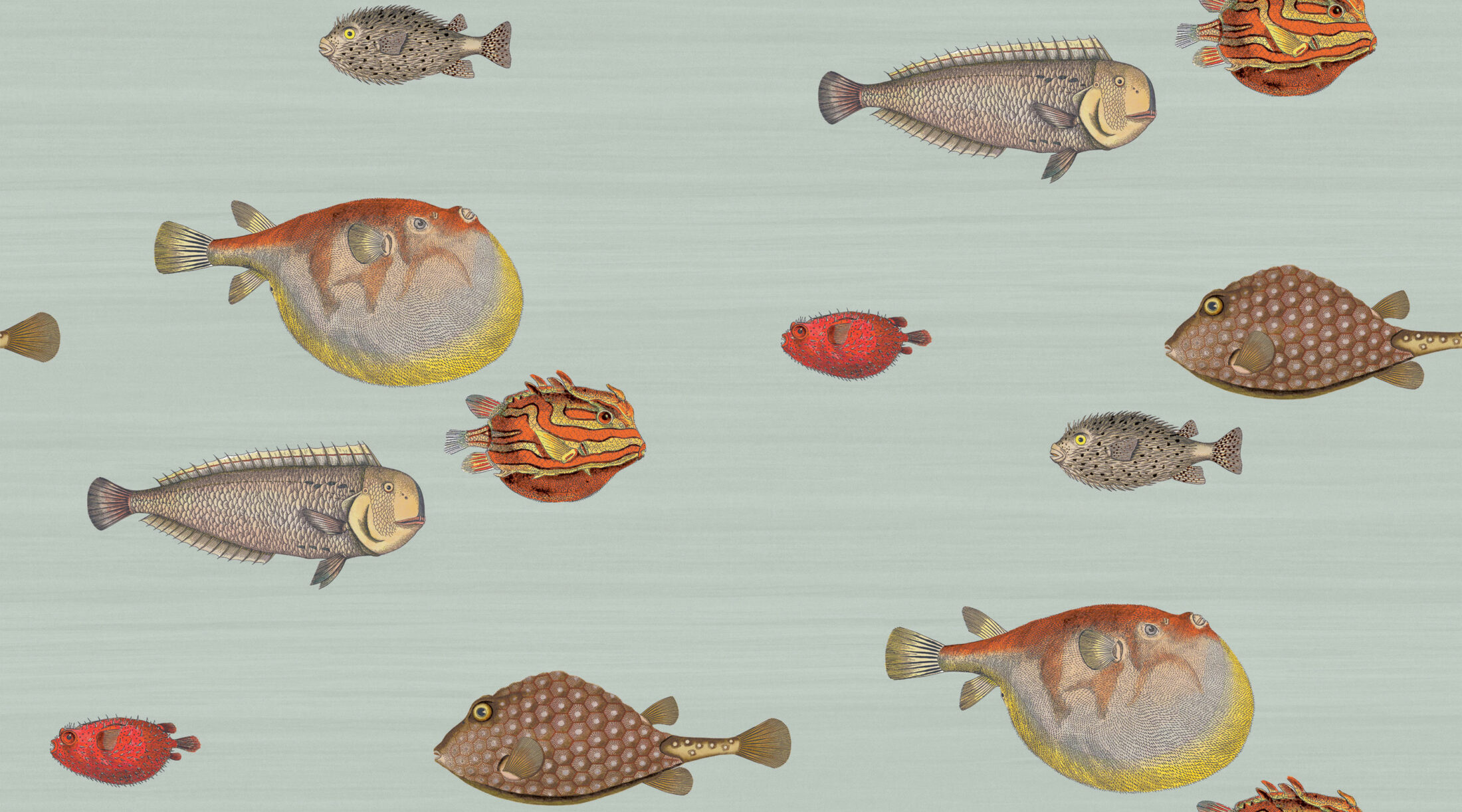 ACQUARIO - PAL BL & MLT