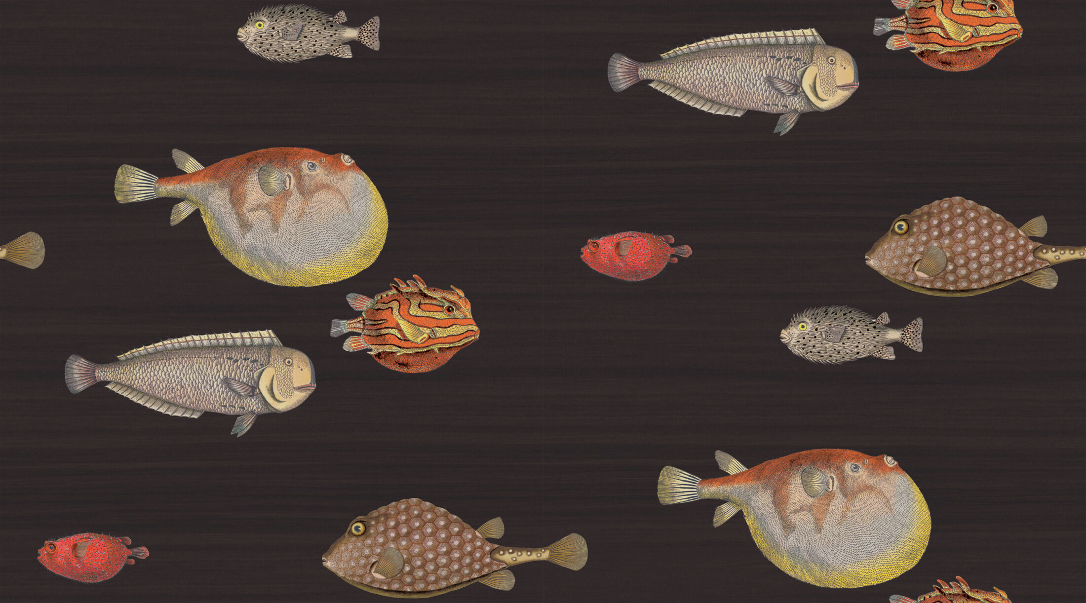 ACQUARIO - BLACK & MULT