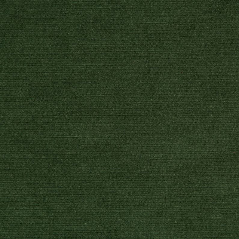 GEMMA VELVET - LICHEN