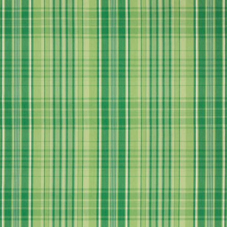 GUERNSEY CHECK - KIWI