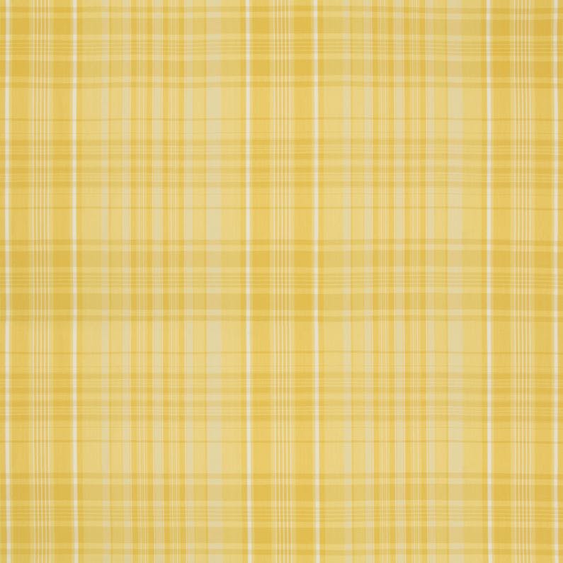 GUERNSEY CHECK - YELLOW
