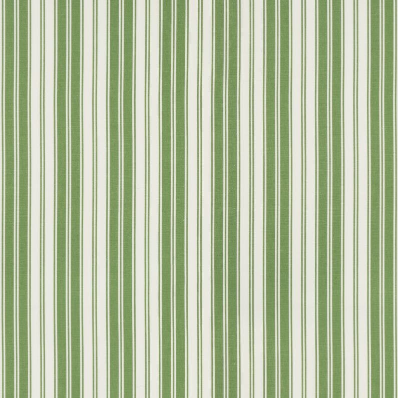 AUDEMAR STRIPE - FERN