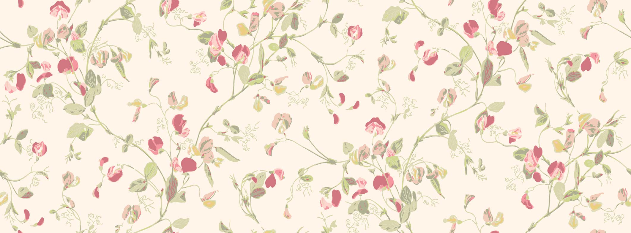 SWEET PEA - 100/6028