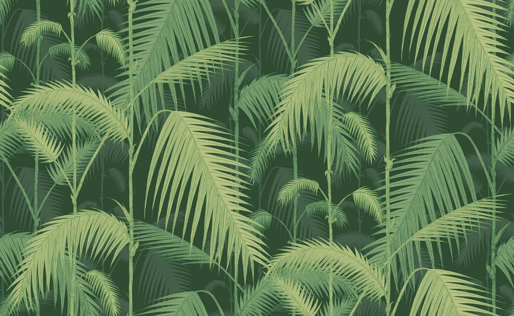 PALM JUNGLE - 112/1003
