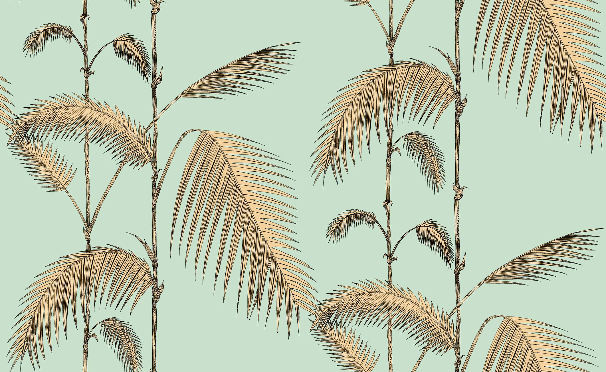 PALM LEAVES - 112/2006