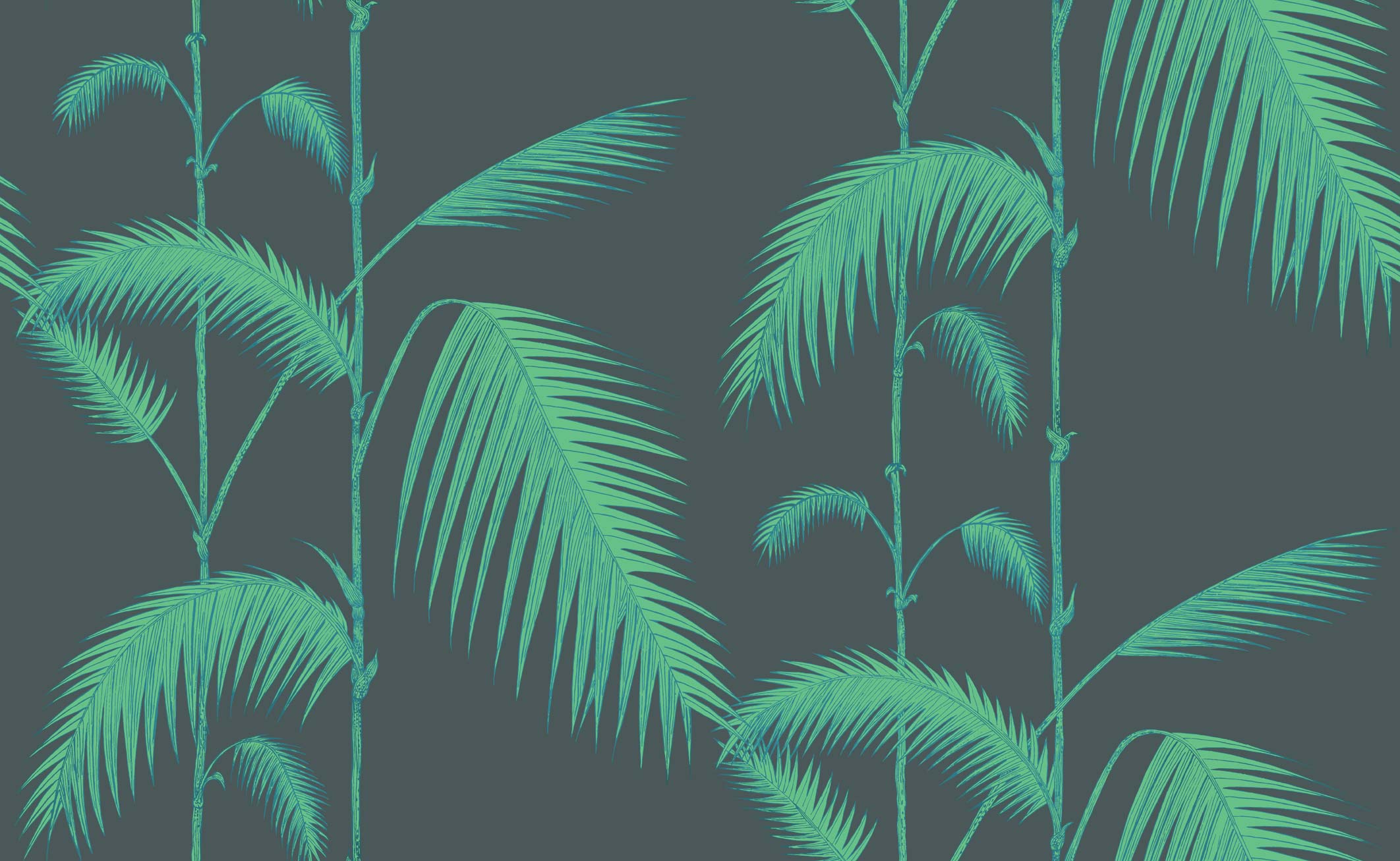 PALM LEAVES - 112/2007