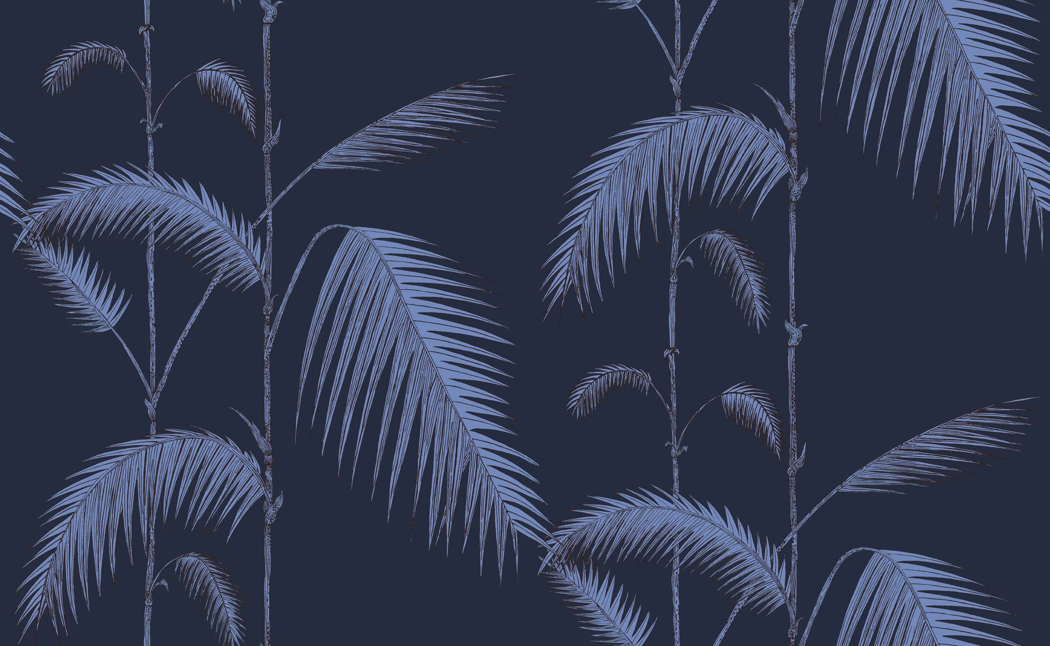 PALM LEAVES - 112/2008