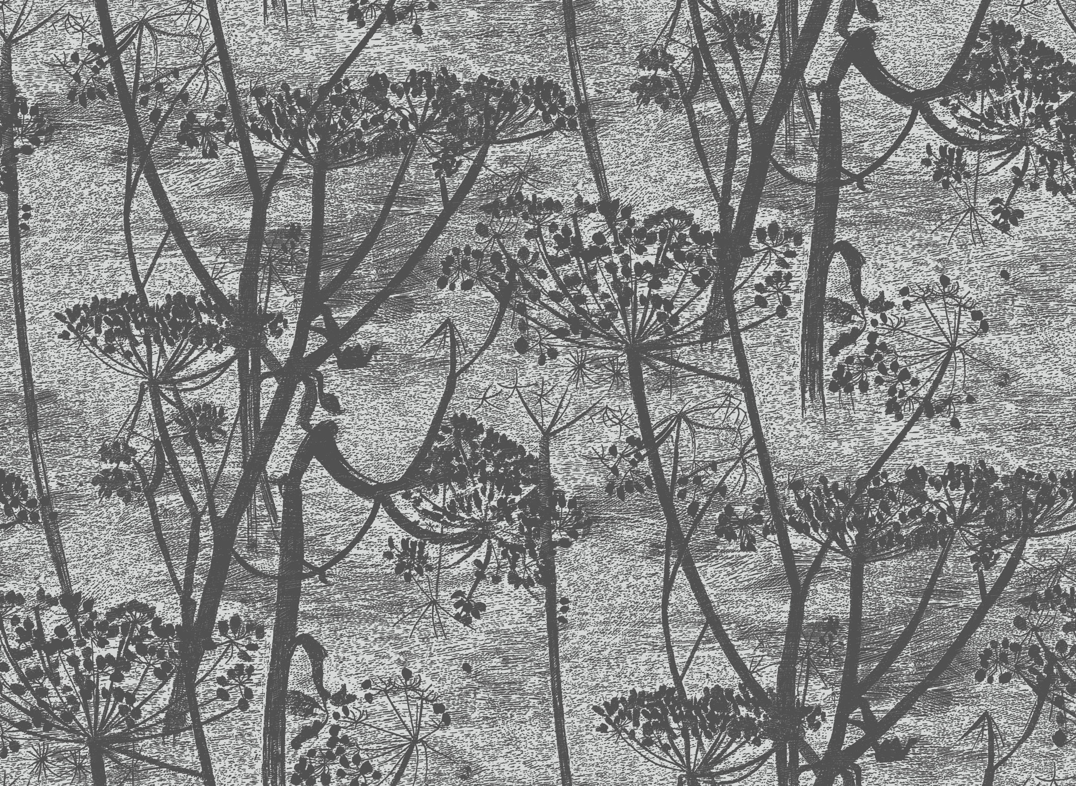 COW PARSLEY - 112/8026