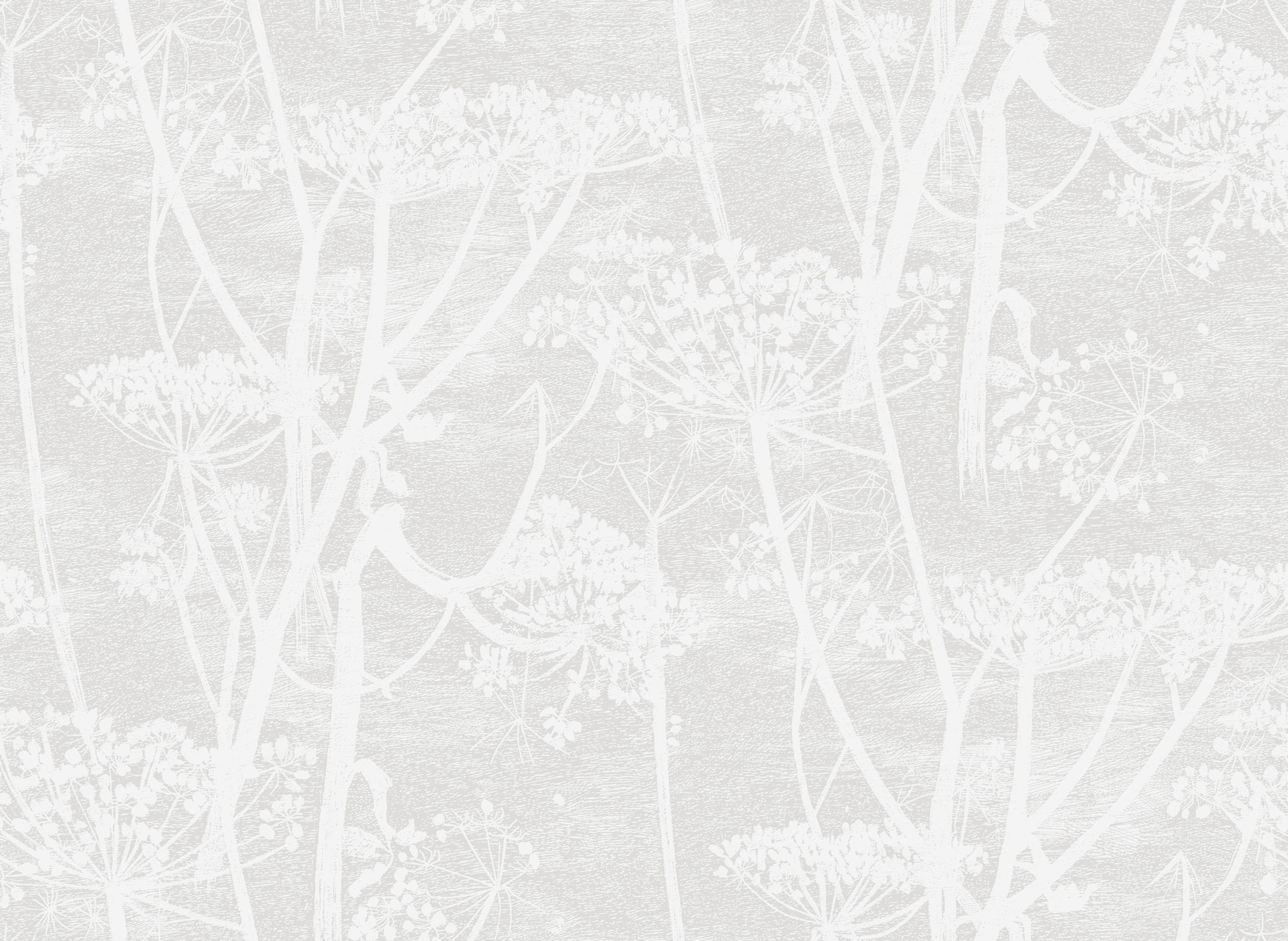 COW PARSLEY - 112/8027