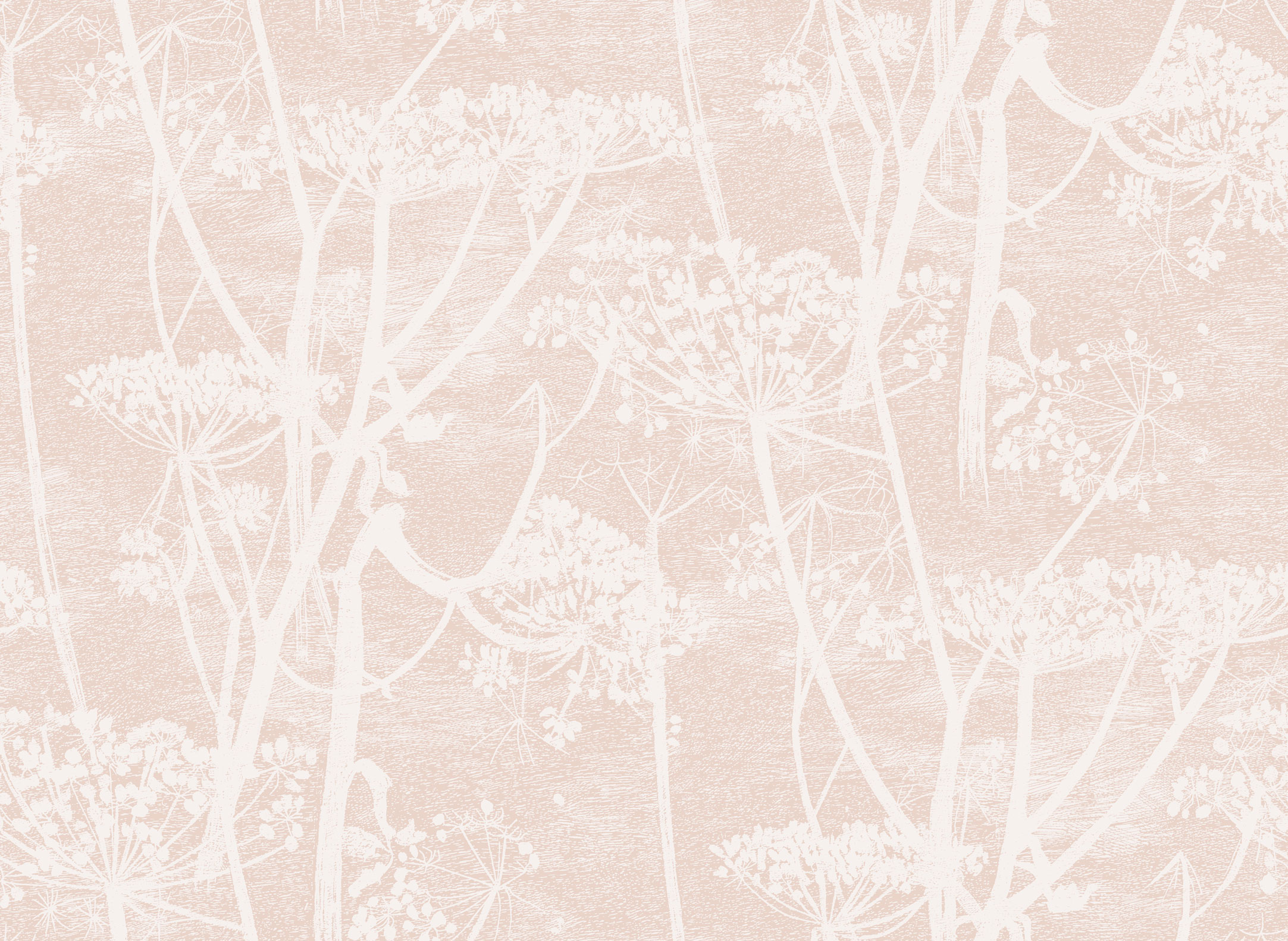 COW PARSLEY - 112/8028