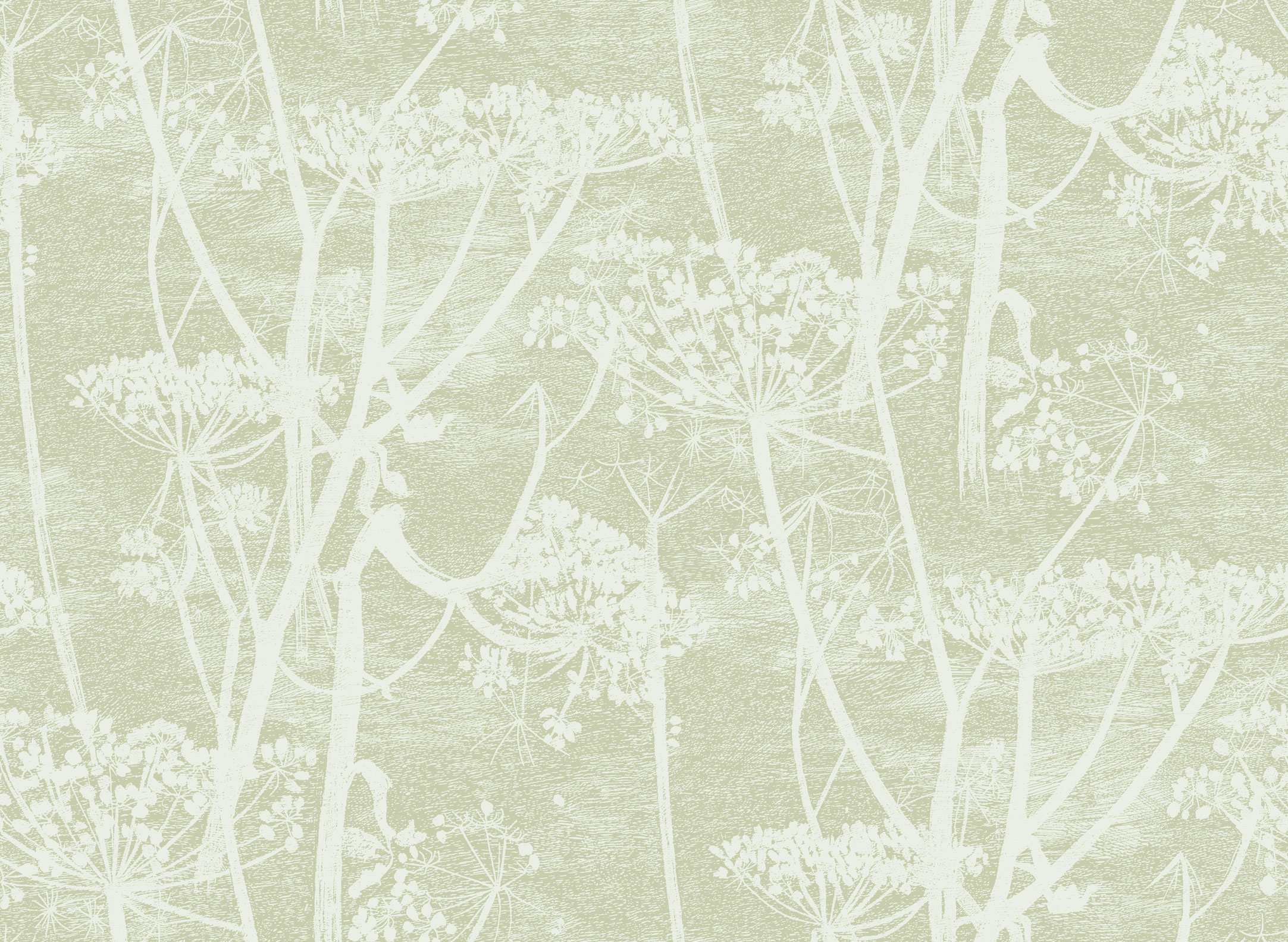 COW PARSLEY - 112/8029