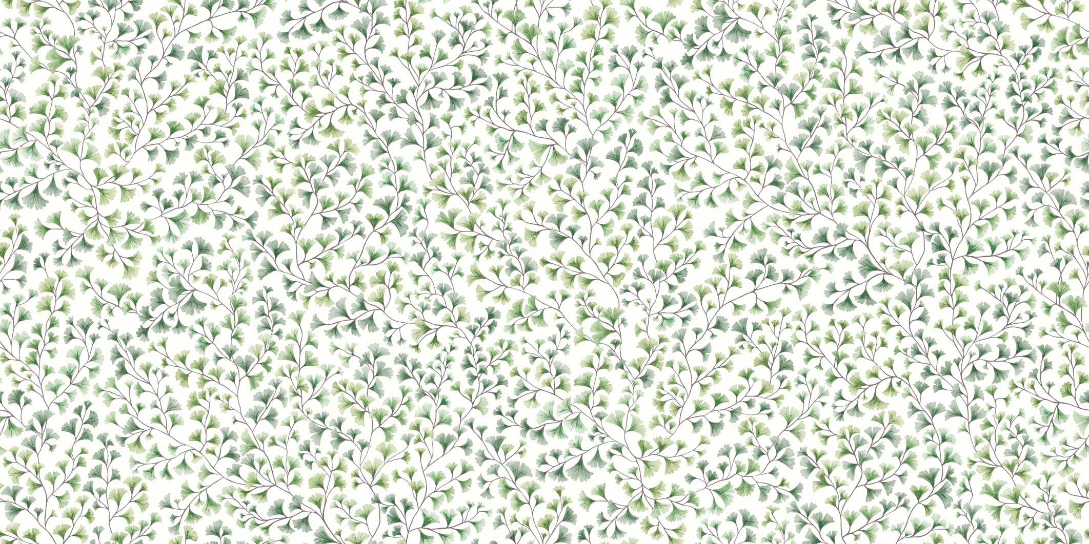 MAIDENHAIR - 115/6018