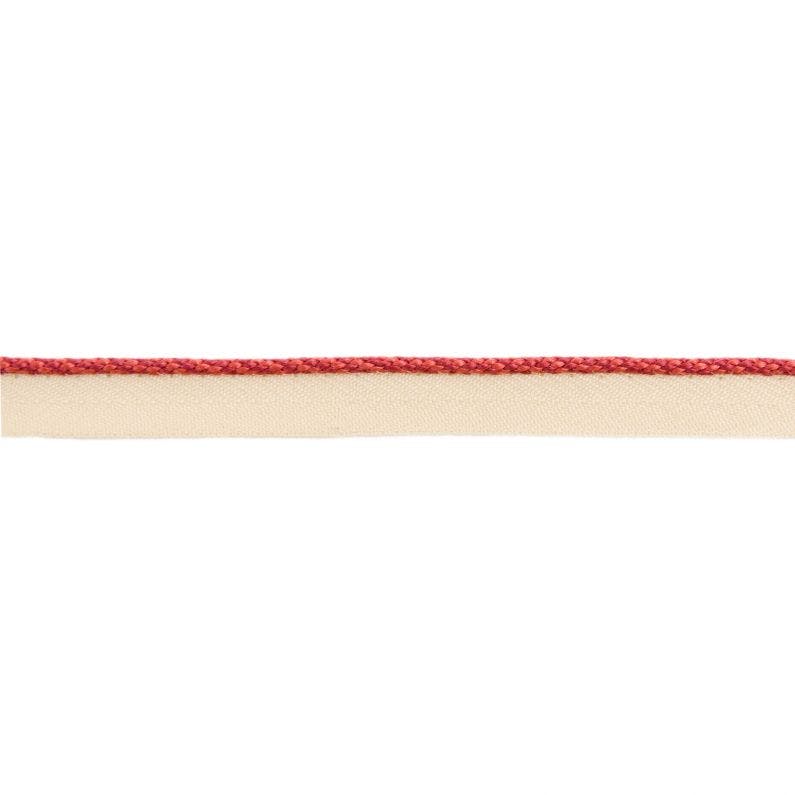 JUST A PEEK - ISLAND CORAL