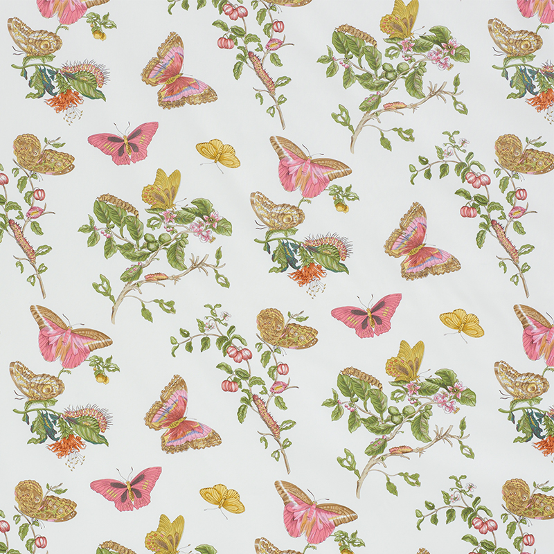 BAUDIN BUTTERFLY CHINTZ - BLUSH
