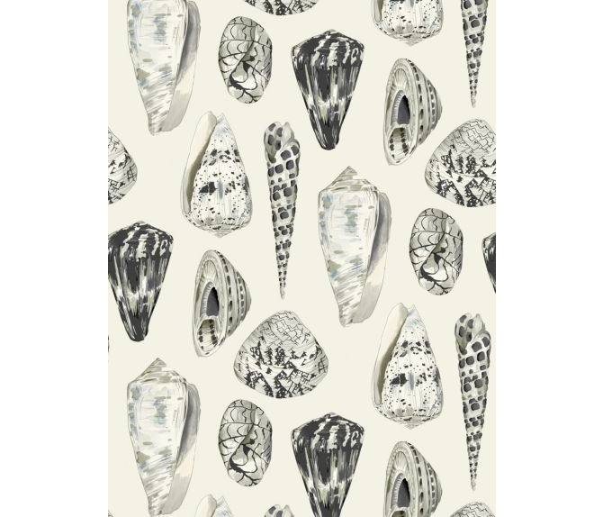 COQUINA - GRAPHITE - NUWALLPAPER