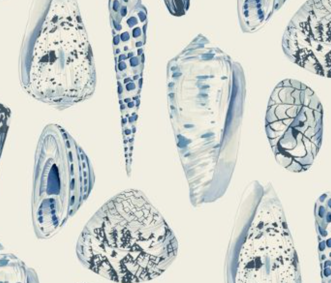 COQUINA - PORCELAIN - NUWALLPAPER